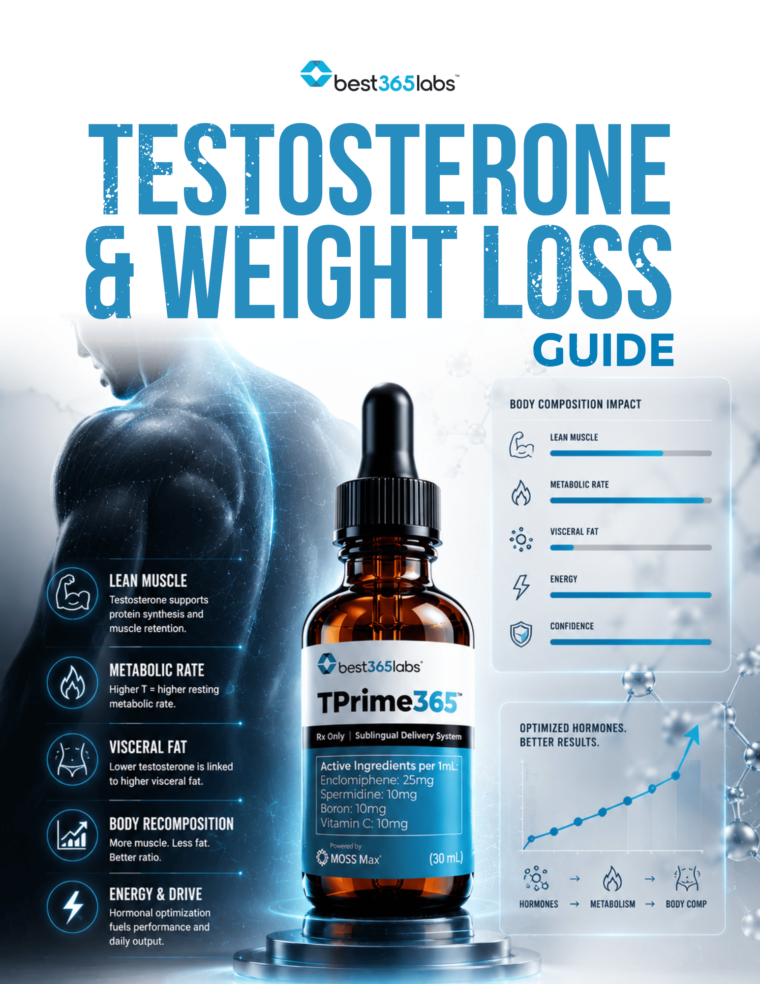 Testosterone & Weight Loss Guide