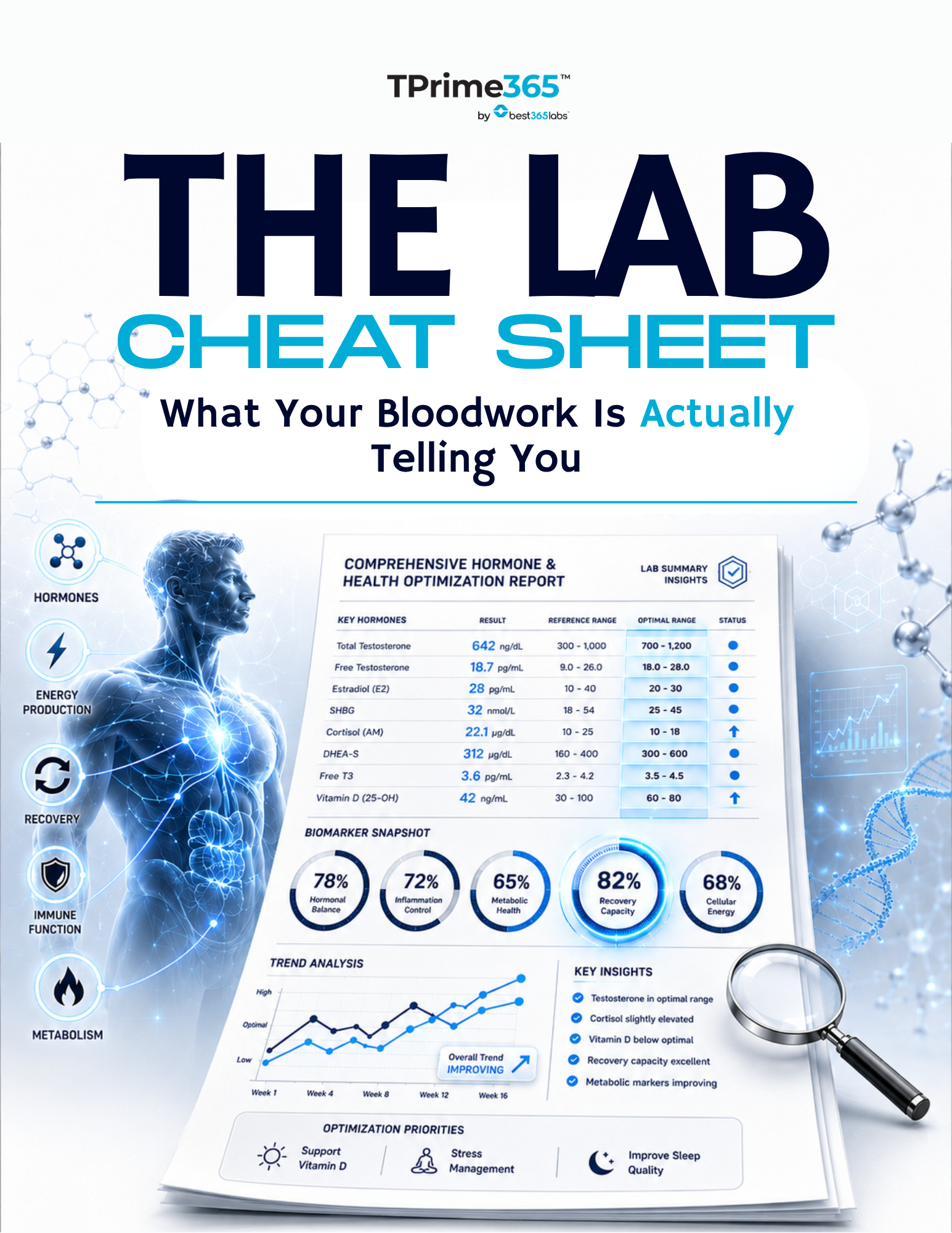 The Lab Cheat Sheet: What Your Bloodwork Is Actually Telling You