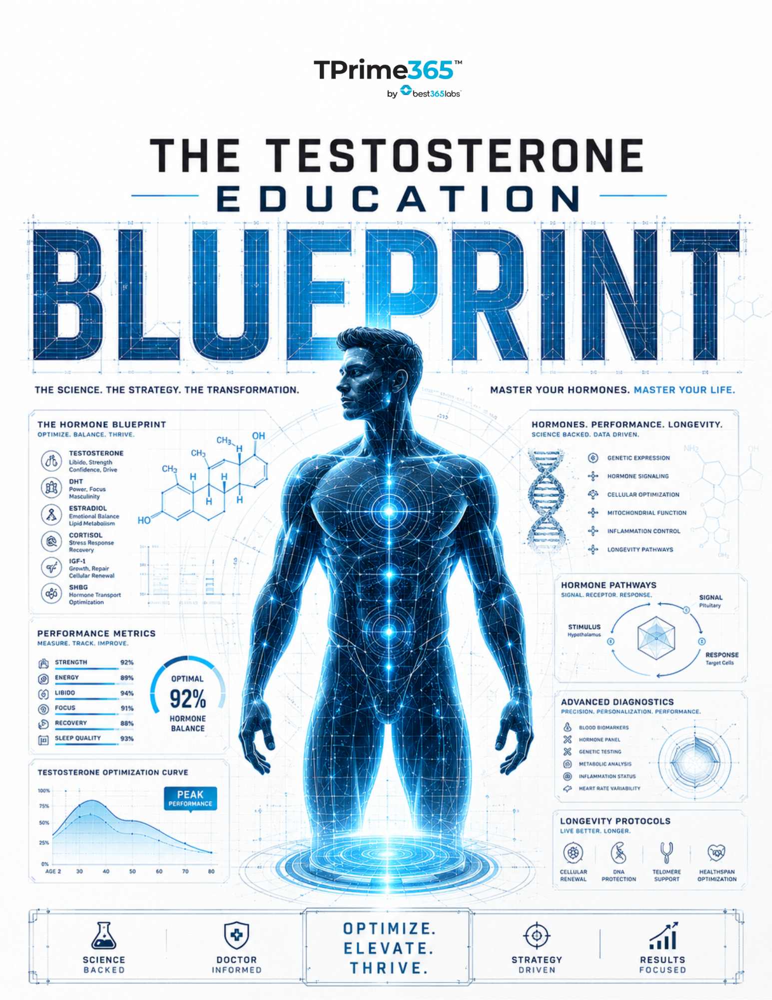 The Testosterone Education Blueprint