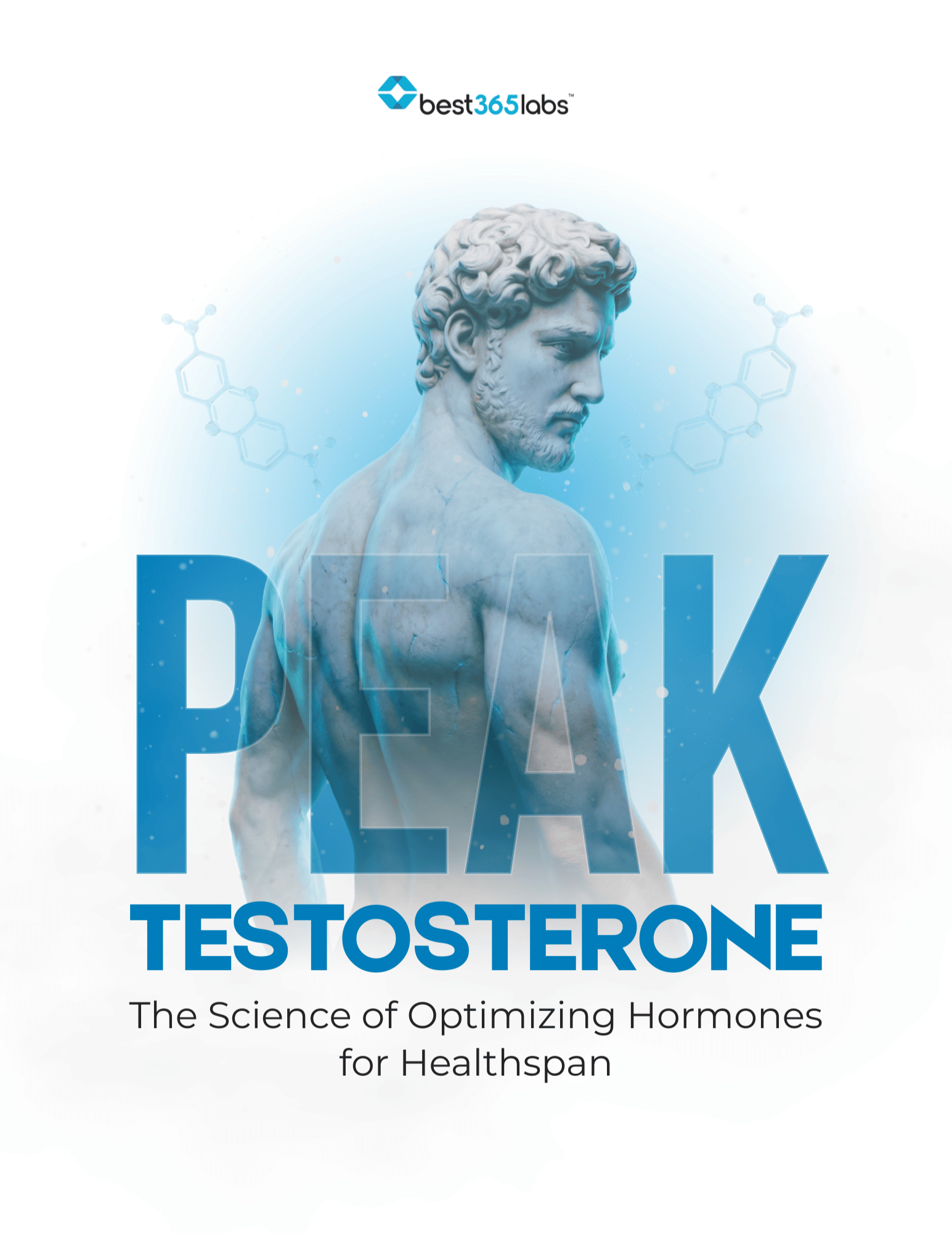 Peak Testosterone E-Book